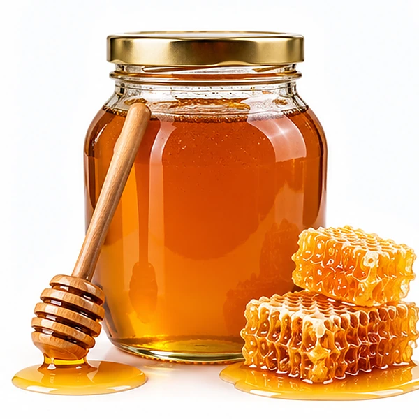Wildwood Raw Forest Honey 2kg